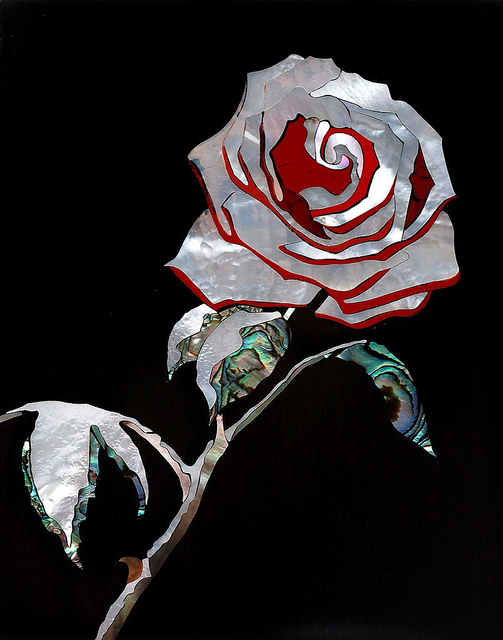snow rose